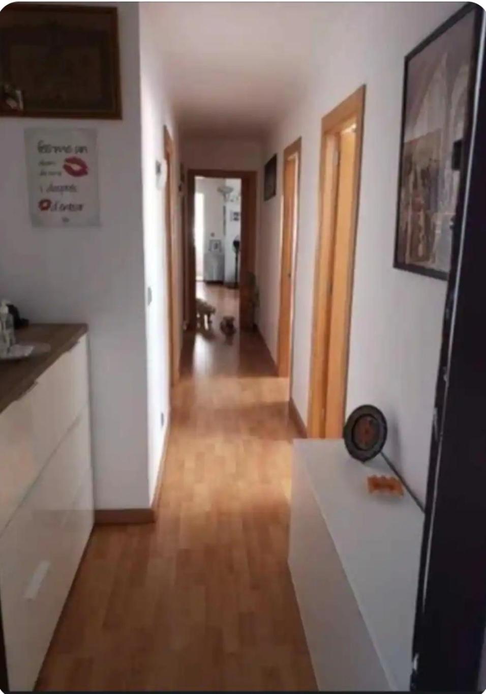 Habitacion Maria Jose 베니돔 외부 사진